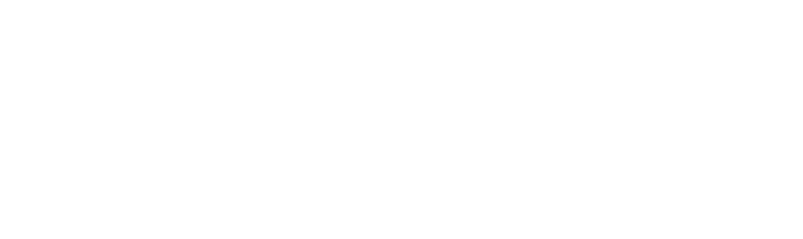 logo-havaianas